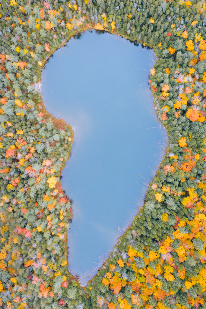 Falls Pond White Mountains New Hampshire