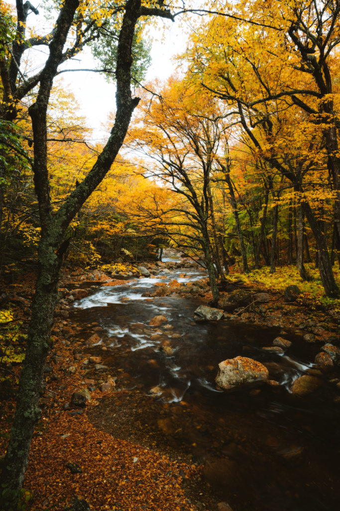 New England Fall Road Trip Ultimate Itinerary Renee Roaming Flume Gorge 2 White Mountains New Hampshire