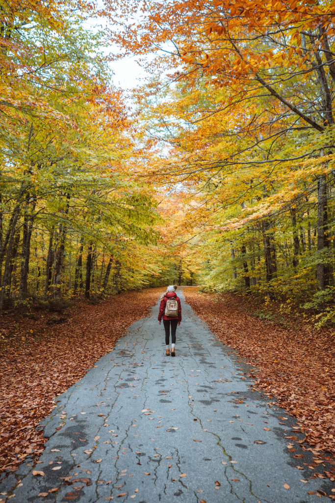 The ULTIMATE New England Fall Road Trip Itinerary - Renee Roaming