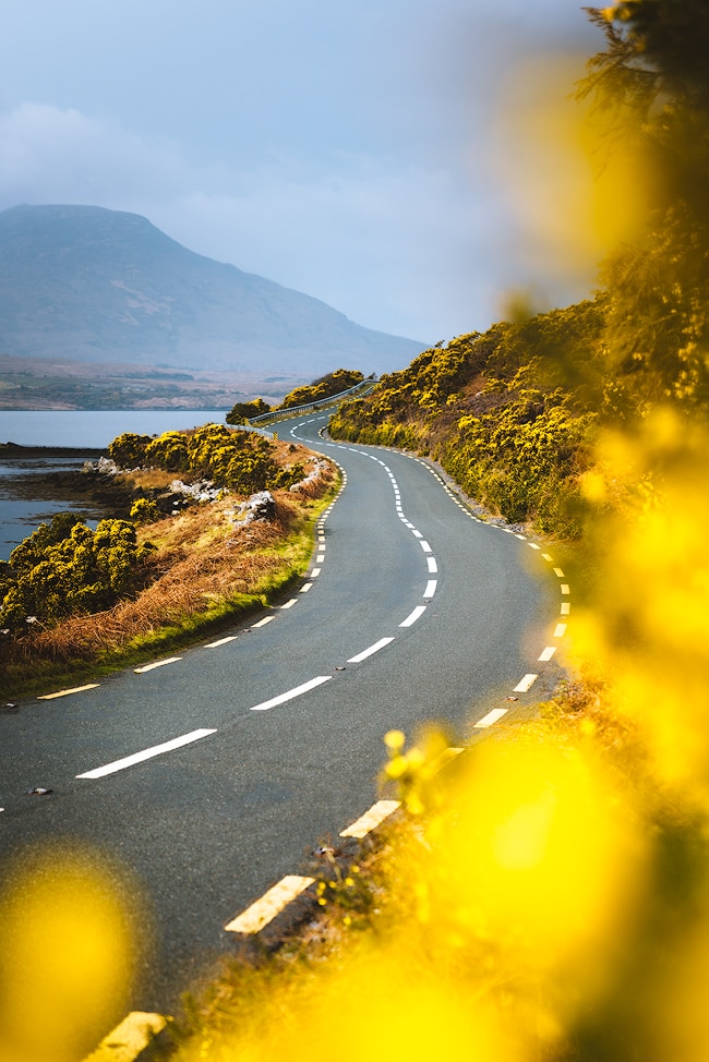 Roadside views outside of Mulranny | Ireland's Wild Atlantic Way is a breathtaking coastal route that's bursting with things to do, spectacular views, castles, and quaint towns. Find out some must-see stops for a week long Wild Atlantic Way road trip, starting in Dublin and ending near Galway! By Renee Roaming, your course for trip inspiration, destination guides, and dreamy travel photography. 