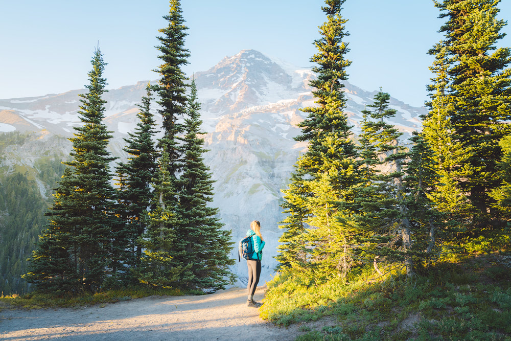 Mount Rainier National Park Guide - Everything You Need to Know - Renee Roaming - Hike