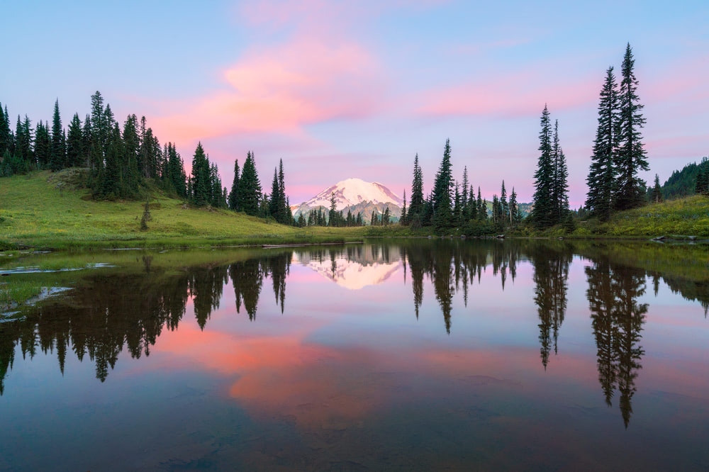 Are Dogs Allowed At Mt Rainier National Park