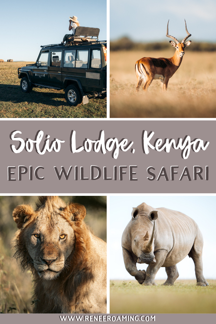 EPIC Wildlife Safari at Solio Lodge in Kenya