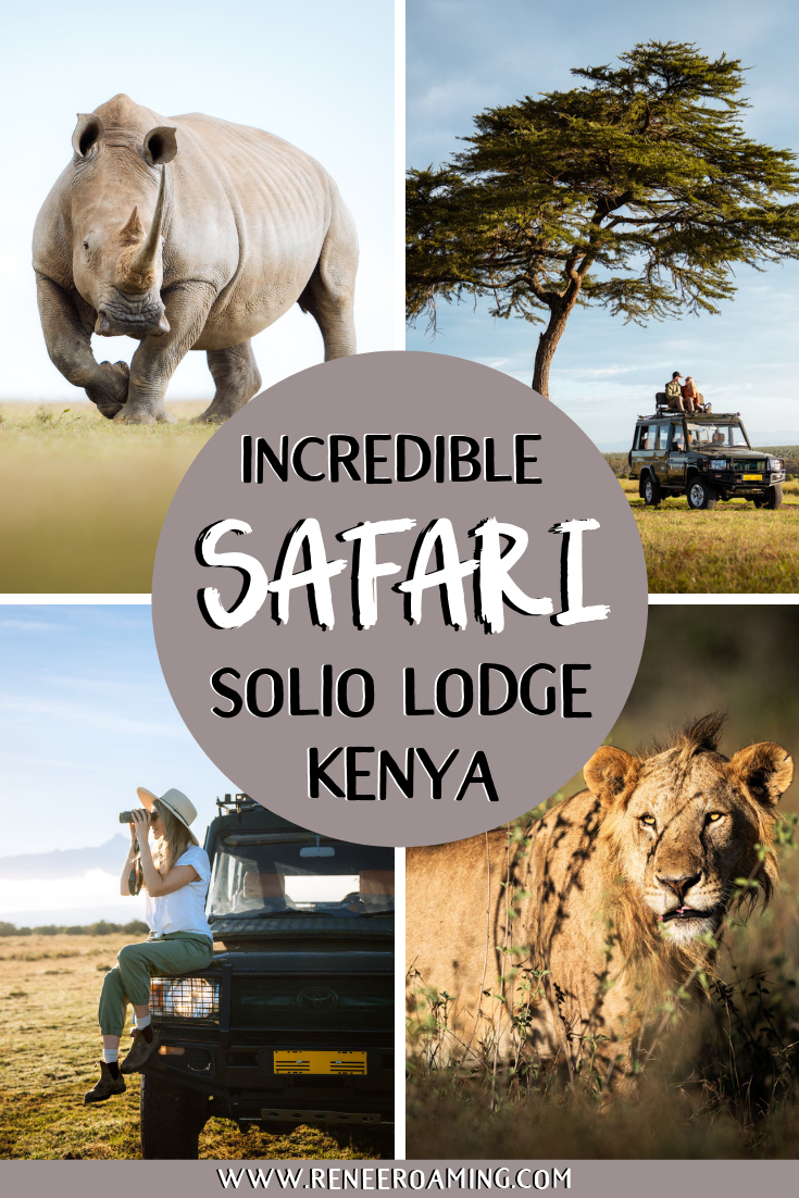 Incredible Wildlife Safari at Solio Lodge in Kenya