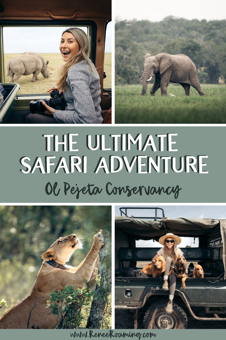 The Ultimate Safari Adventure at Ol Pejeta Conservancy