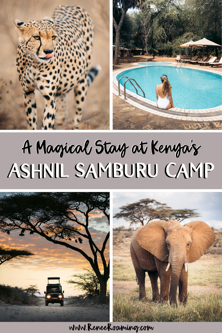 A Magical Stay at Ashnil Samburu Camp in Kenya