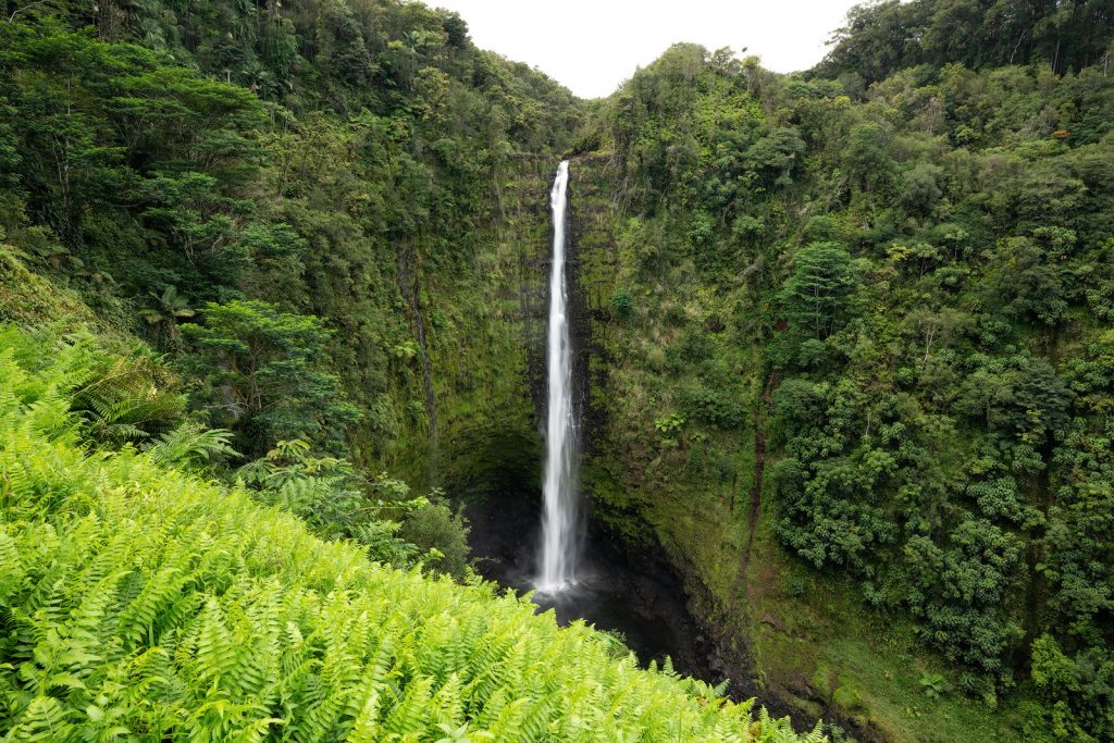 Plan an Incredible Trip to the Big Island of Hawaii - Akaka Falls