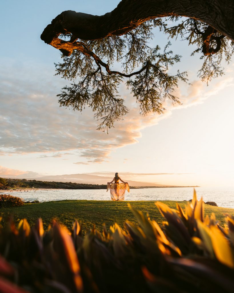 Plan an Incredible Trip to the Big Island of Hawaii - Sunset Tree