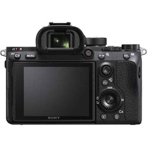 Sony a7RIII Camera Body - Whats In My Camera Bag - Renee Roaming