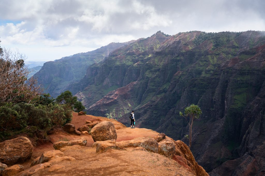 9 Must-Do Kauai Outdoor Adventures - Waimea Canyon Canyon Trail - Renee Roaming