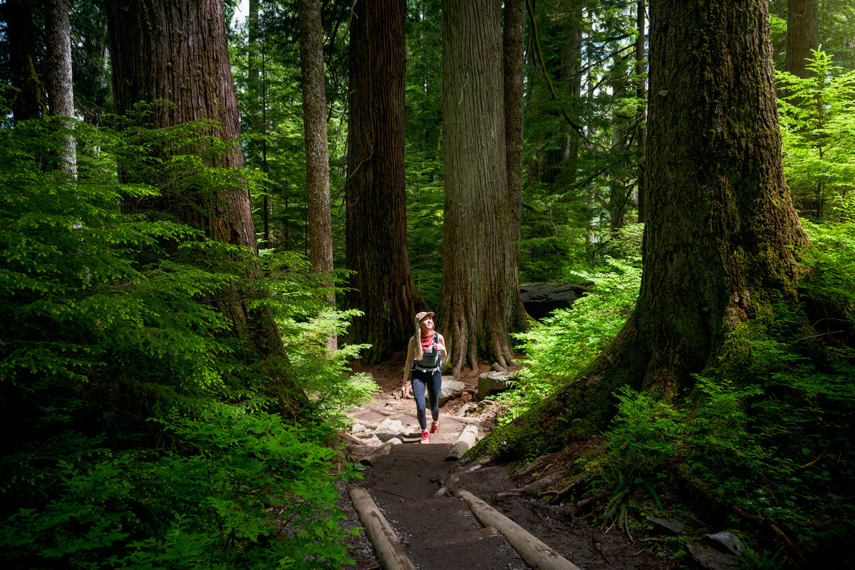 Beginner Friendly Hikes in Washington State - Lake 22 Trail