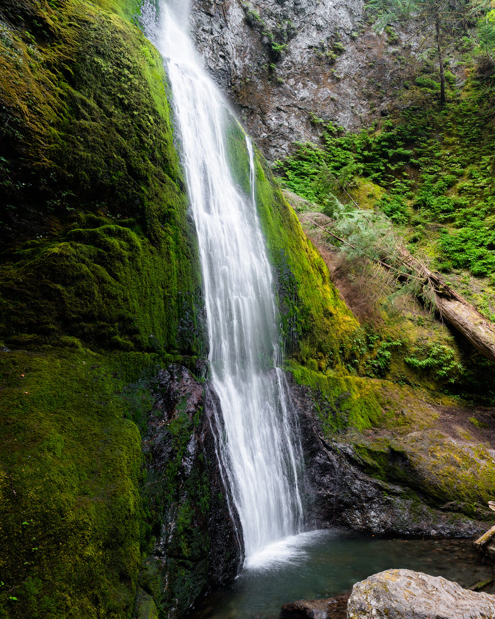 Beginner Friendly Hikes in Washington State - Marymere Falls Trail