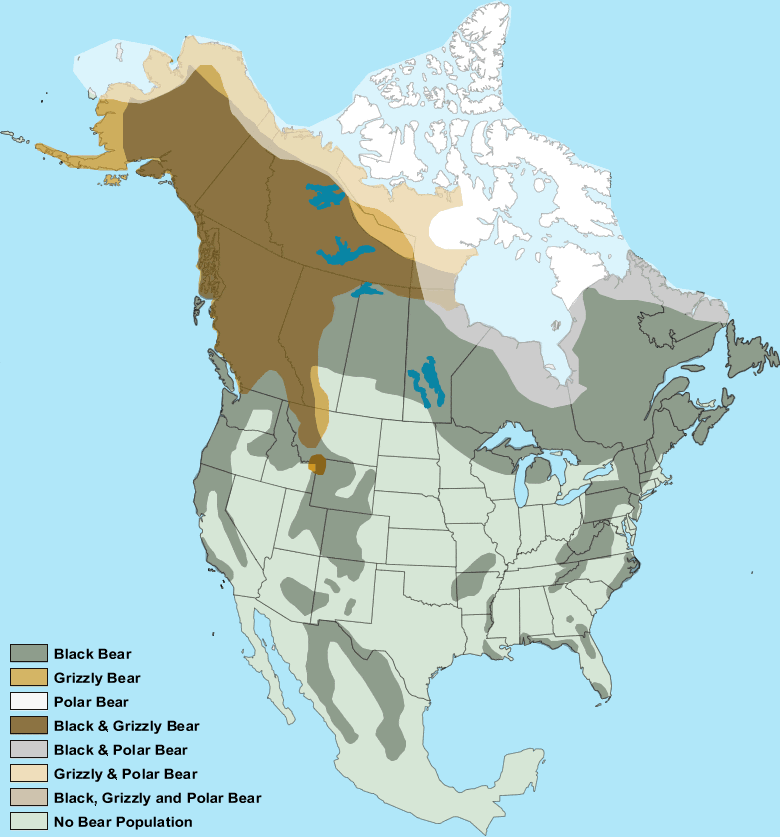 Remote Bear Country-Should I hang? (long) - Page 4