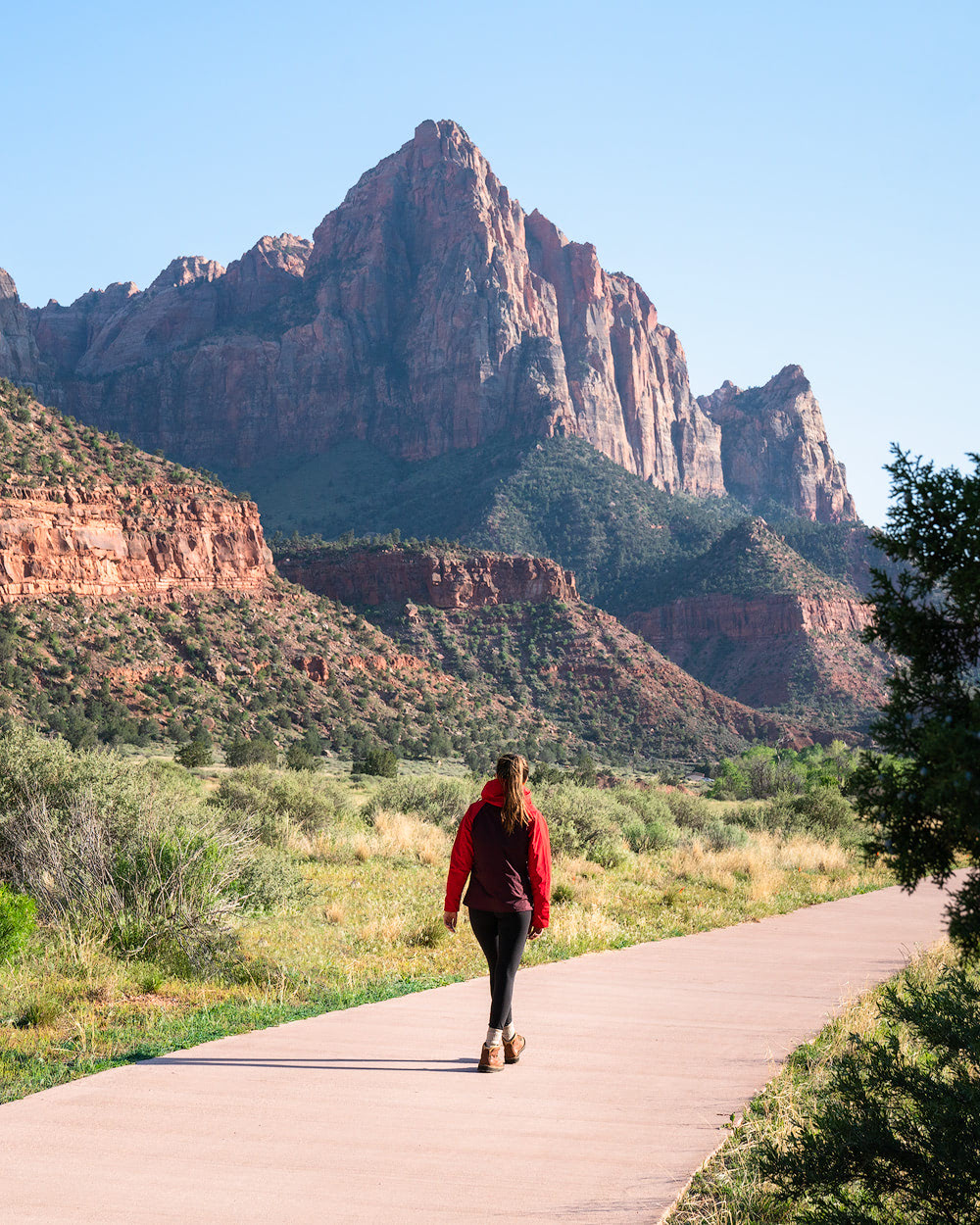 The Ultimate Guide to Exploring Zion National Park - Parus Trail