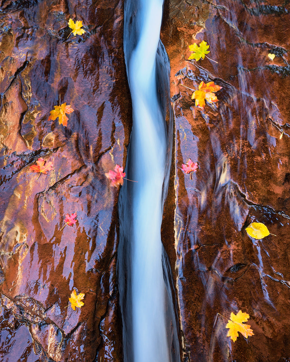 The Ultimate Guide to Exploring Zion National Park Photography