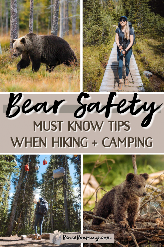 Bear Safety Must Know Tips When Hiking and Camping - Renee Roaming