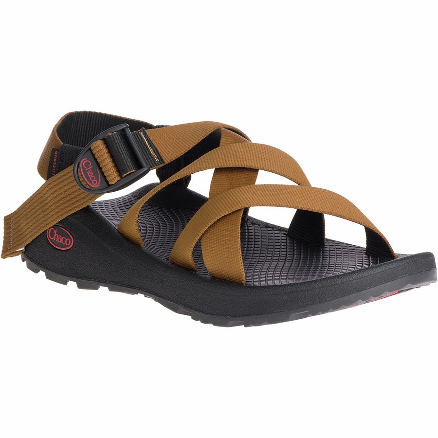 Best Hiking Sandals and Water Shoes for Men 2020 - Chaco Banded Z Cloud Sandal - Renee Roaming