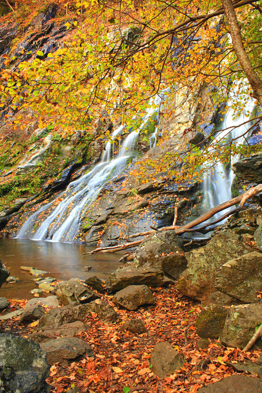 12 Best National Parks To Visit In The Fall - Shenandoah National Park Waterfall