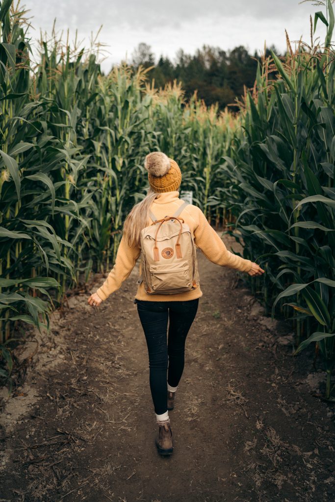 Best outdoor things to do during fall in Washington State - Craven Farms corn maze adventure