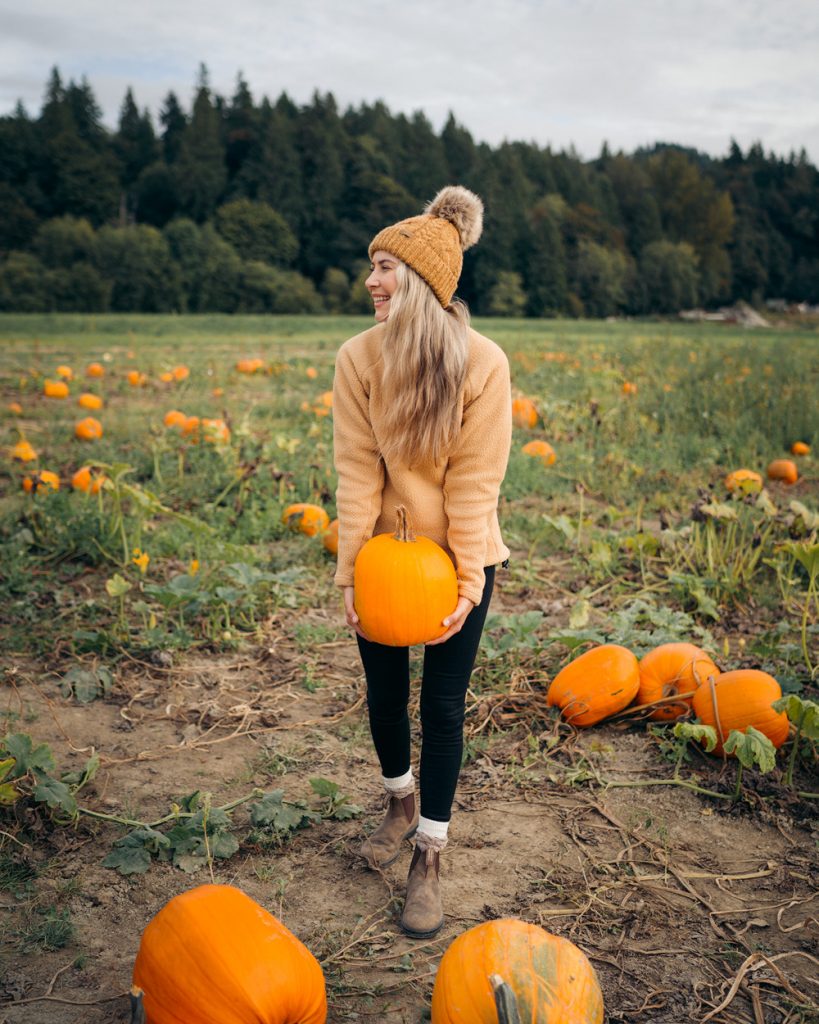 Best outdoor things to do during fall in Washington State - Craven Farms pumpkin patch