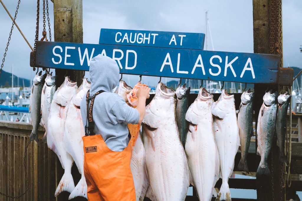 The Ultimate Guide to Exploring Kenai Fjords National Park - Fishing in Seward Alaska