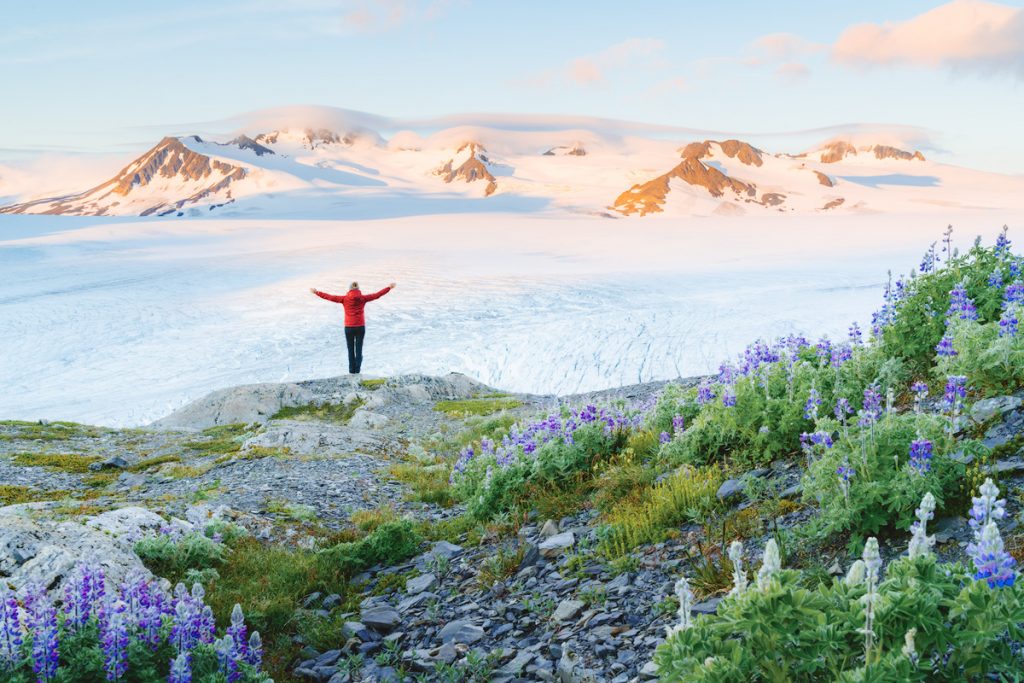 The Ultimate Guide to Exploring Kenai Fjords National Park - Sunrise Harding Icefield Exit Glacier Wildflowers