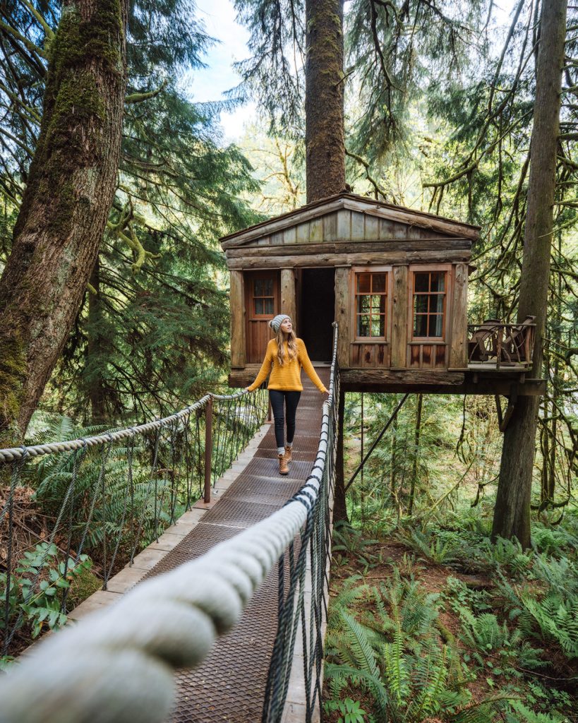 TreeHouse Point