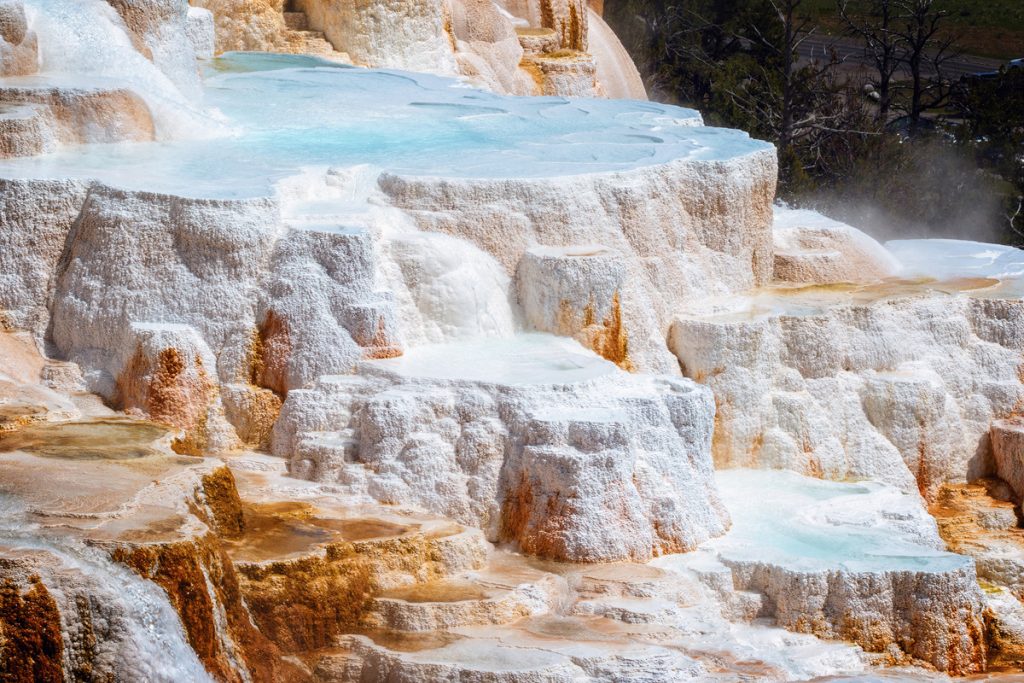  Mammoth Hot Springs