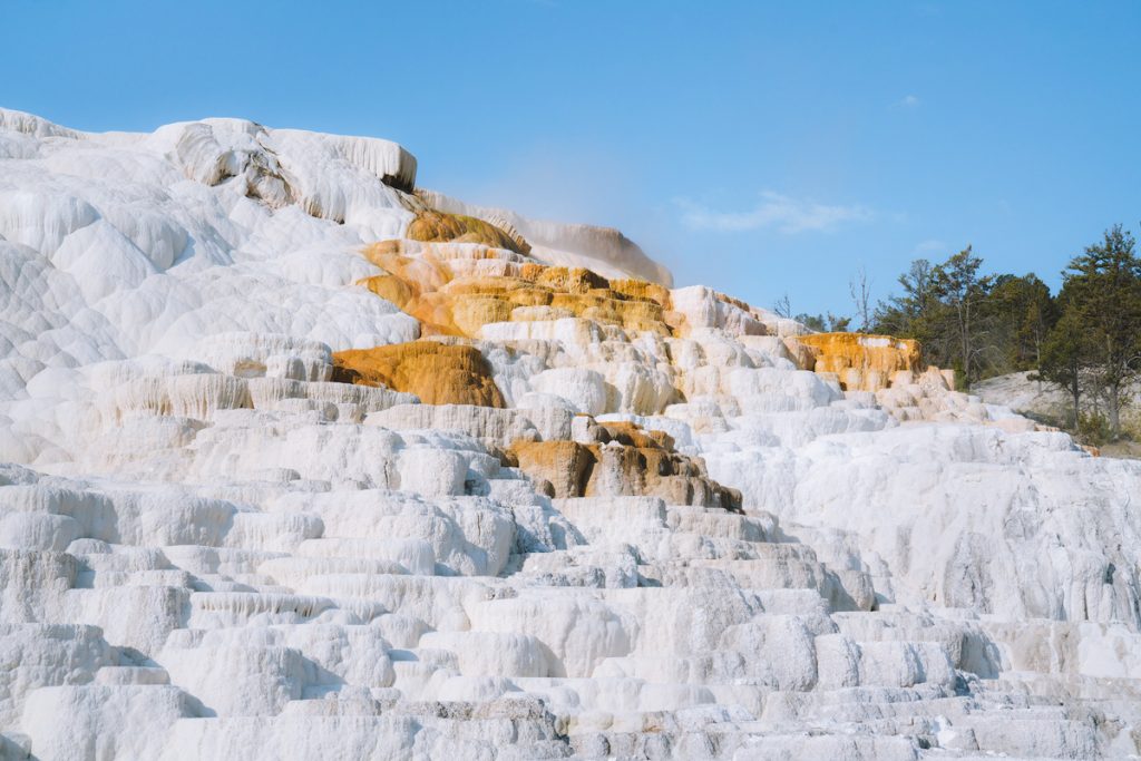 Ultimate Yellowstone National Park Guide and Itinerary- Mammoth Hot Springs Terraces