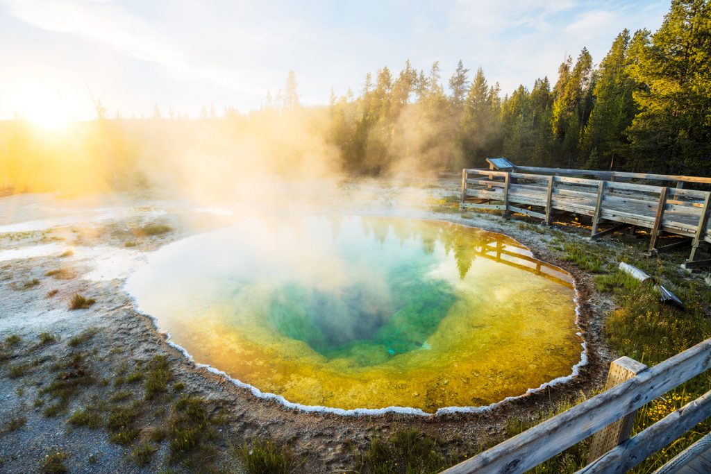 Ultimate Yellowstone National Park Guide and Itinerary - Morning Glory Pool