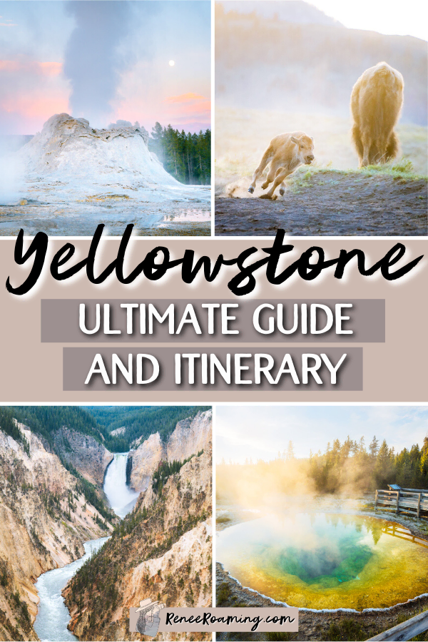 Yellowstone National Park is world renowned for its epic landscapes, unique wildlife, and fascinating natural history. Each year millions of people come from all over the globe to witness Yellowstone's wonders, and for some it has been a lifetime dream. In this blog post I am sharing everything you need to know to plan your own trip to Yellowstone National Park, including all the best things to see and do! #YellowstoneGuide #YellowstoneThingsToDo #YellowstoneItinerary