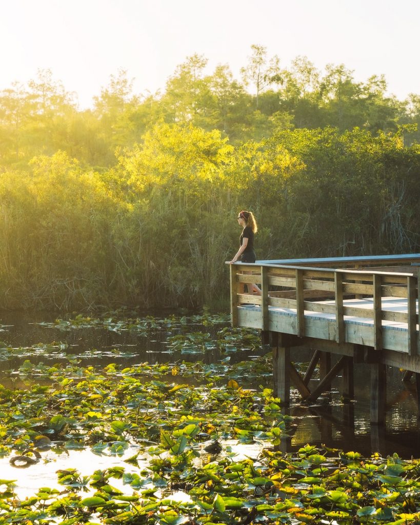 Everglades Hiking Trail