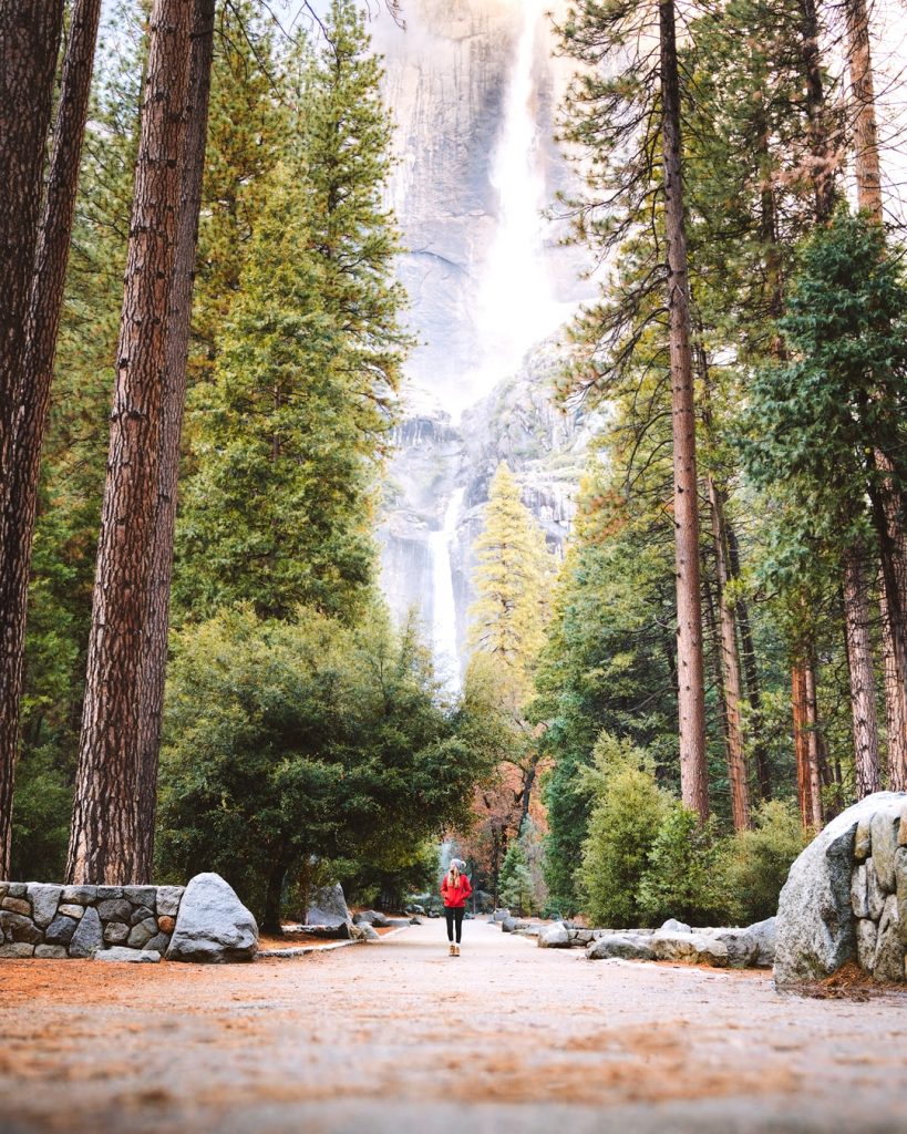 12 Best National Parks to Visit in Winter - Yosemite National Park Lower Yosemite Falls
