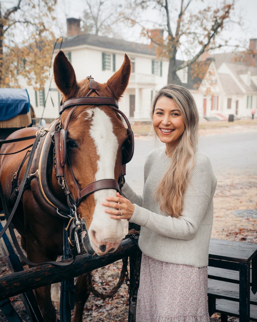 Williamsburg Virginia Guide and Itinerary - Colonial Williamsburg Horse and Carriage