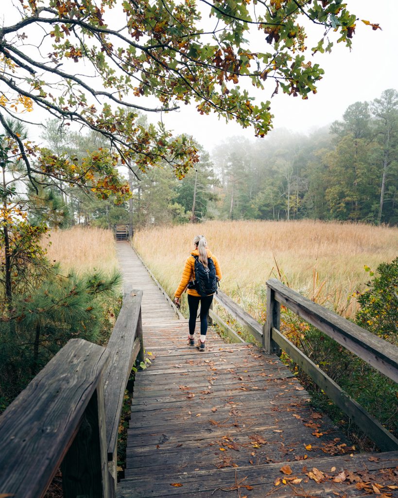 Williamsburg Virginia Guide and Itinerary - York River State Park Bridge