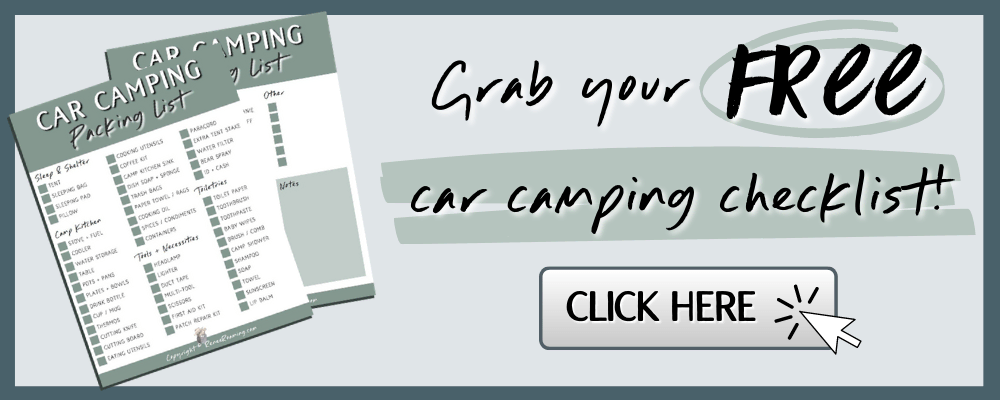 Grab Your Free Printable Car Camping Packing Checklist - Renee Roaming