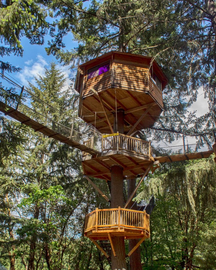 20 Magical Oregon Treehouses You Can Rent - Majestree Oregon Treehouse