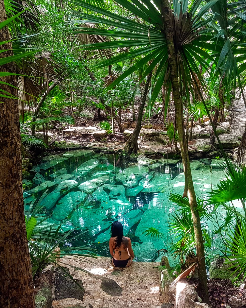 Best Cenotes Near Tulum Tips For Visiting Cenotes Renee Roaming