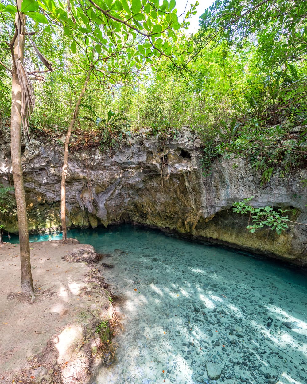 Best Cenotes Near Tulum Tips For Visiting Cenotes Renee Roaming