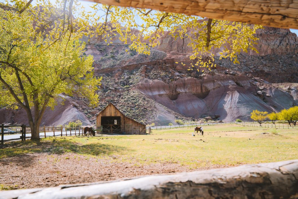 Best National Parks to Visit in Spring - Capitol Reef National Park - Gifford Farm