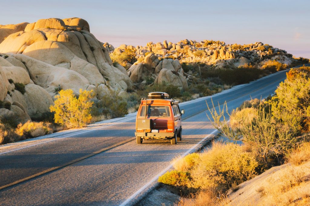 Best National Parks to Visit in Spring - Joshua Tree National Park Spring Guide