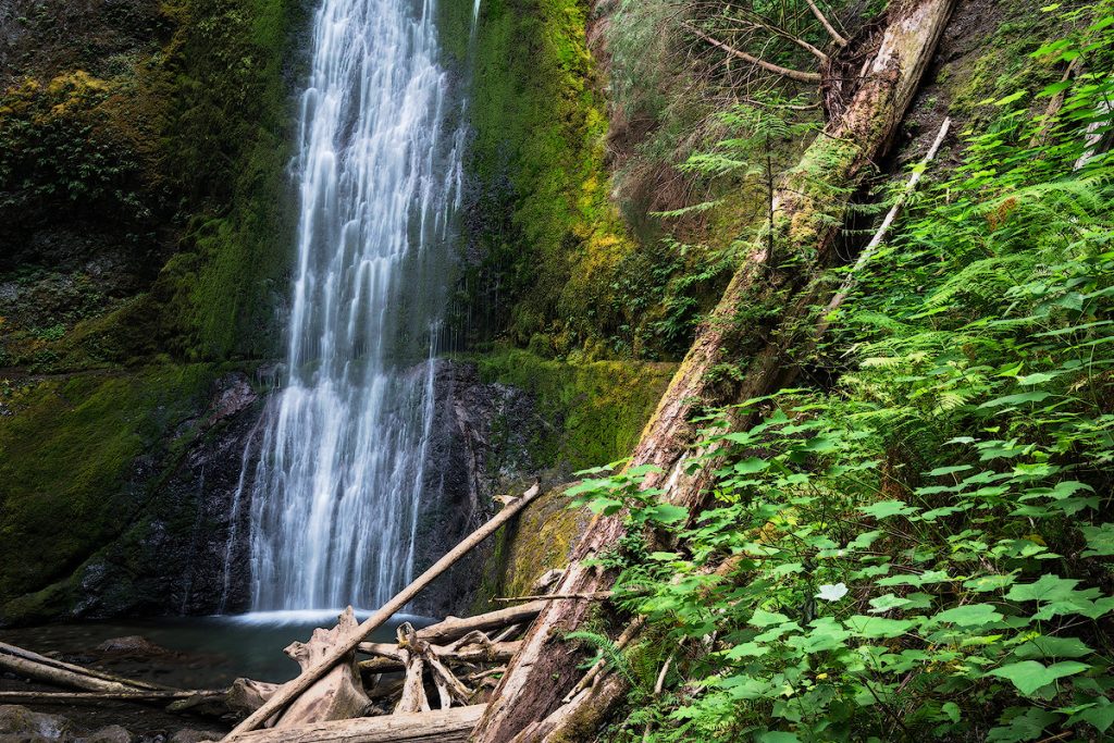 Best National Parks to Visit in Spring - Olympic National Park - Marymere Falls