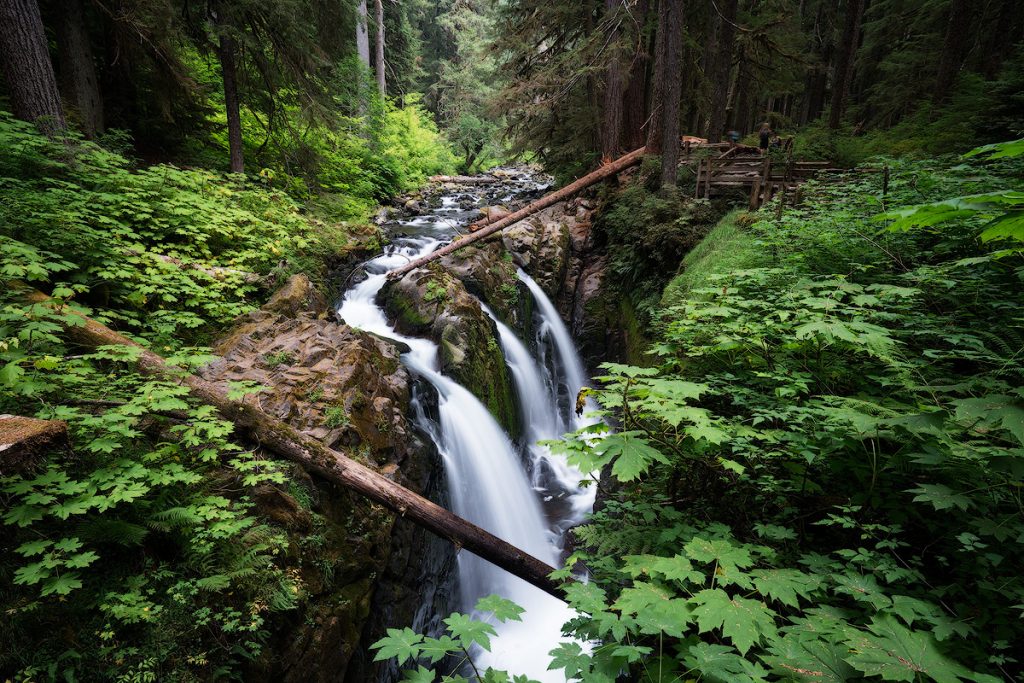 Best National Parks to Visit in Spring - Olympic National Park - Sul Duc Falls