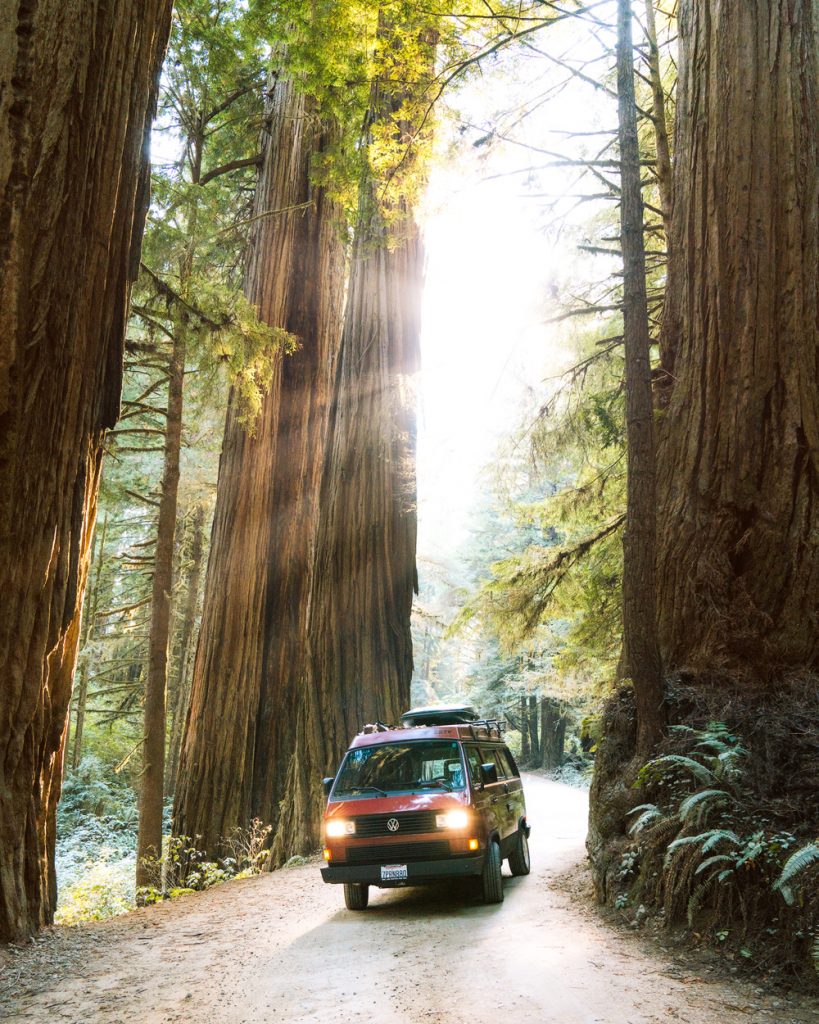 Best National Parks to Visit in Spring - Redwood National & State Park Spring Travel