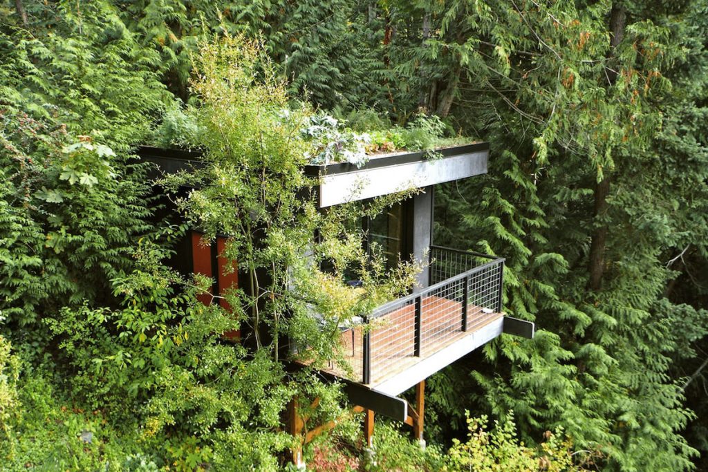 Best Pacific Northwest Treehouse Rentals - Pleasant Bay Lookout - Renee Roaming