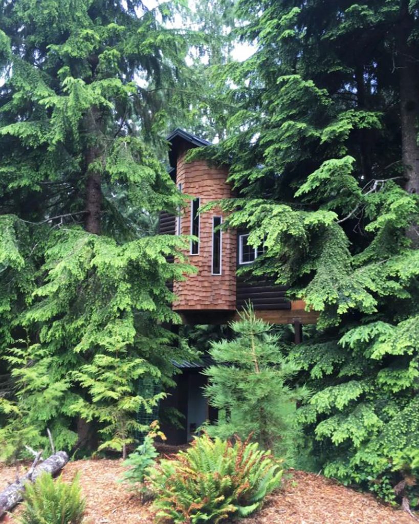 Best Pacific Northwest Treehouse Rentals - Treehouse Suite Washington