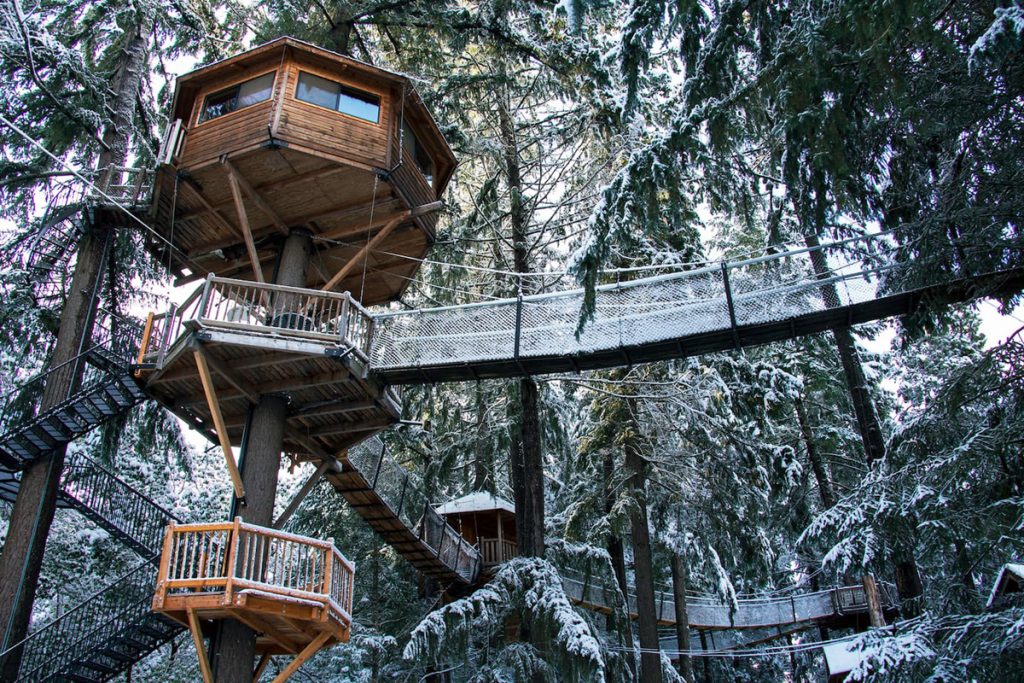 Best Pacific Northwest Treehouses To Rent - Majestree Oregon Treehouse
