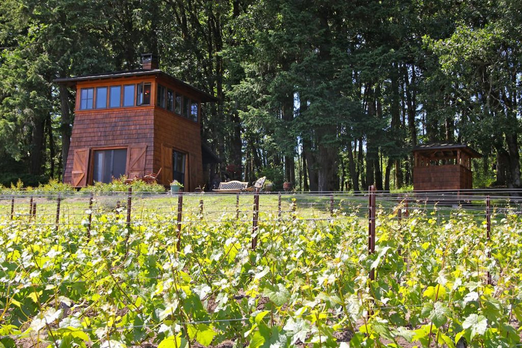 Oregon Cabin in Wine Country