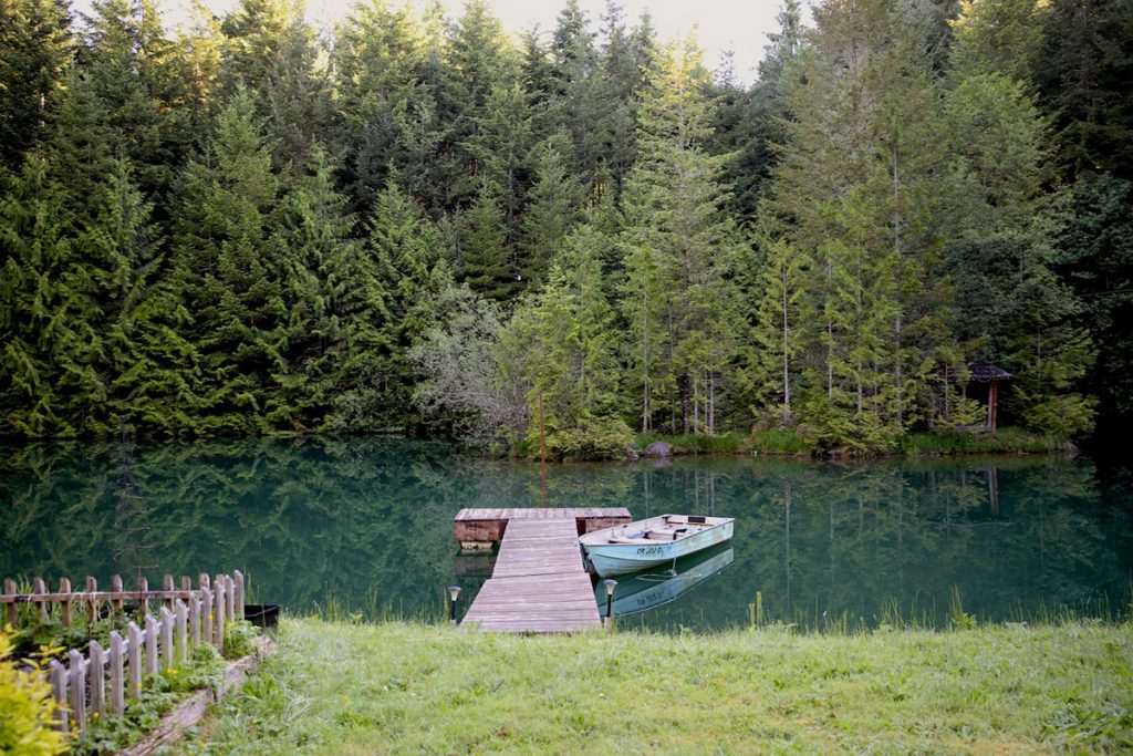 Oregon Treehouses You Can Rent - Mt Hood Treehouse