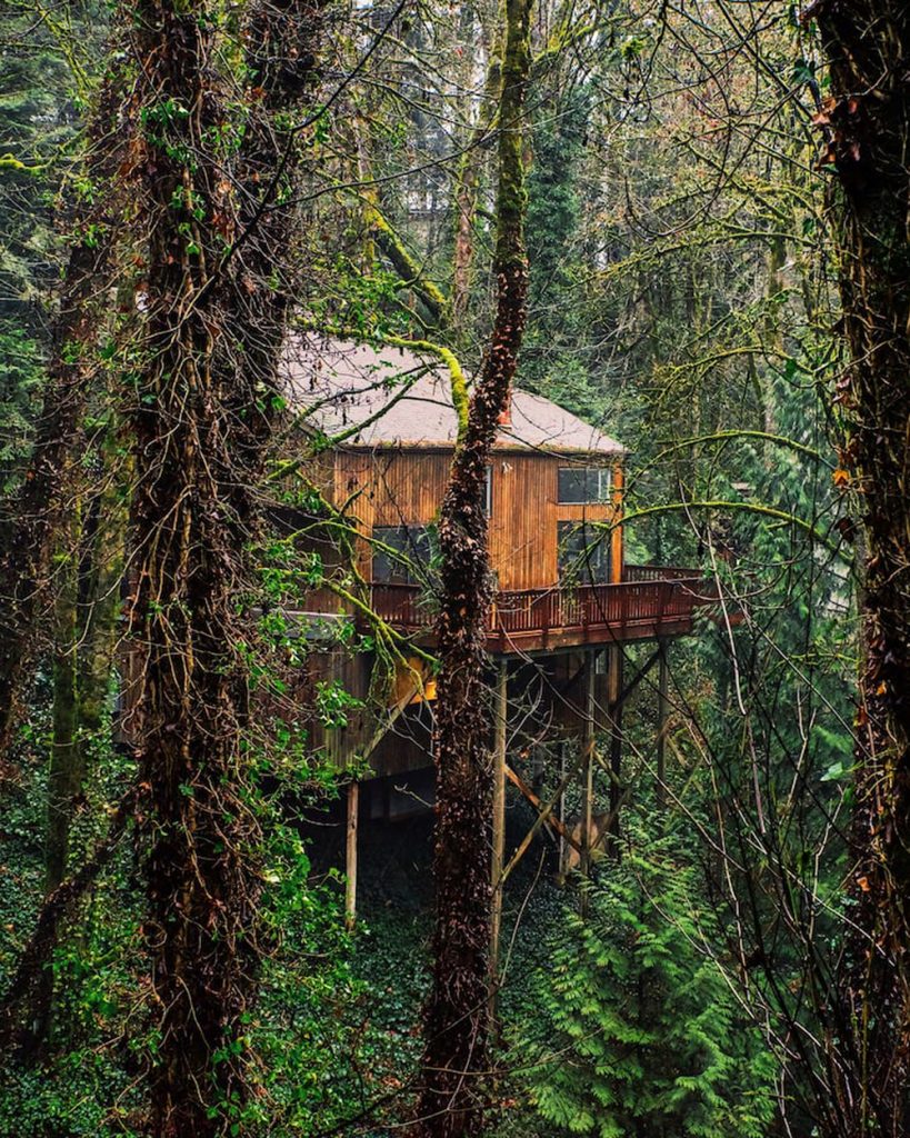 Portland Oregon Treehouses to Rent - Wald House PDX